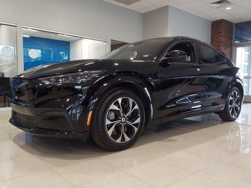 Купить Ford Mustang Mach-E электро 2025 id-8761 в Киеве, Фото №[delta]