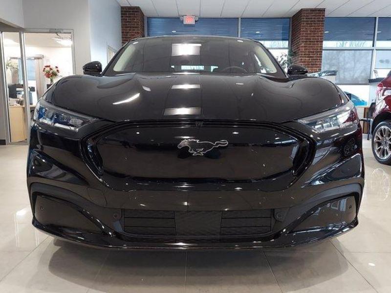 Купить Ford Mustang Mach-E электро 2025 id-8761 в Киеве, Фото №[delta]