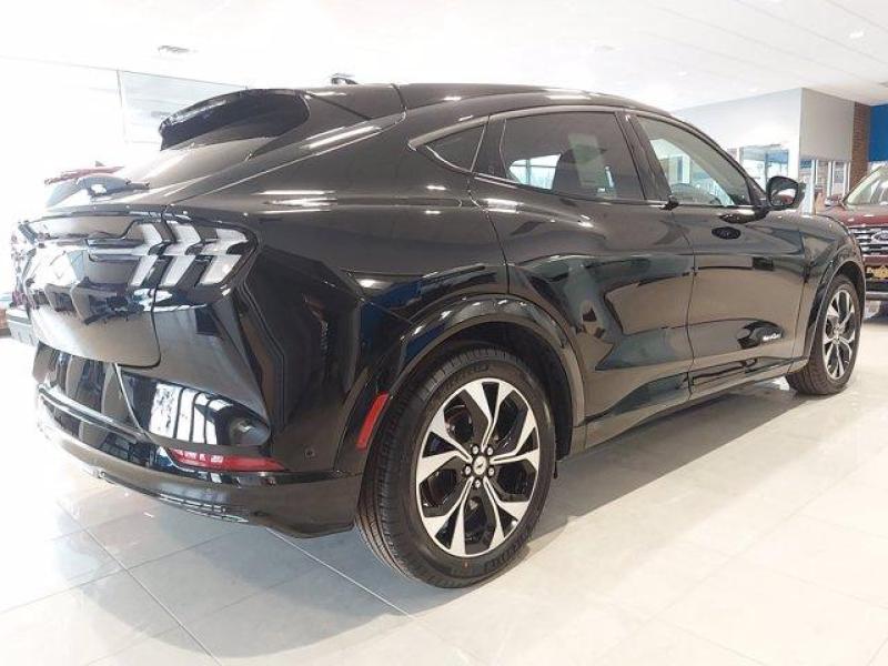 Купить Ford Mustang Mach-E электро 2025 id-8761 в Киеве, Фото №[delta]