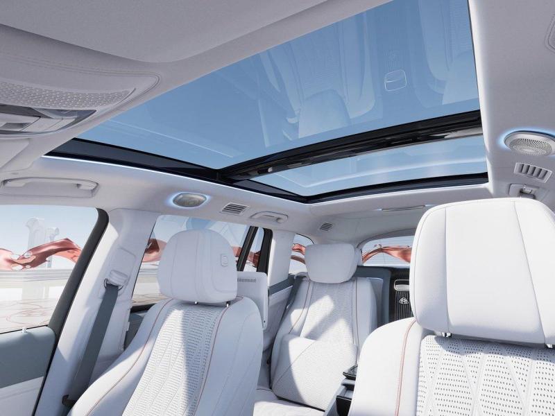 Купить Mercedes-Maybach GLS 600 бензин 2025 id-1006395 в Киеве, Фото №[delta]