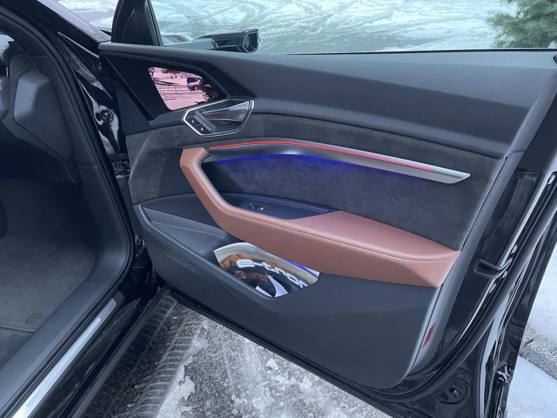 Купить Audi E-Tron электро 2019 id-1006751 в Киеве, Фото №[delta]