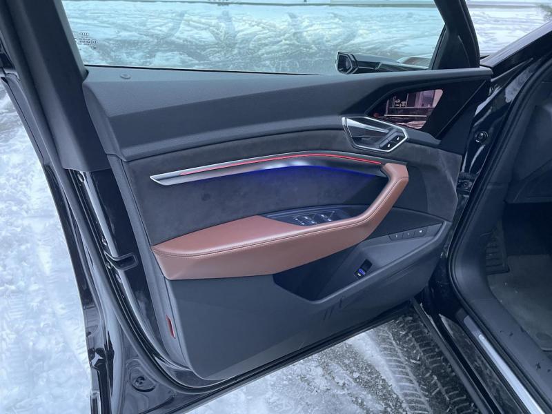 Купить Audi E-Tron электро 2019 id-1006751 в Киеве, Фото №[delta]