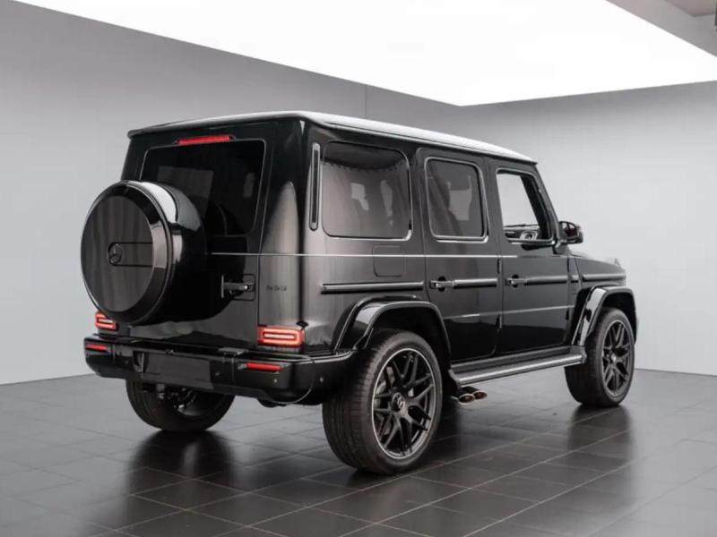 Купить   гибрид 2025 id-1006940 в Киеве, Фото №[delta]