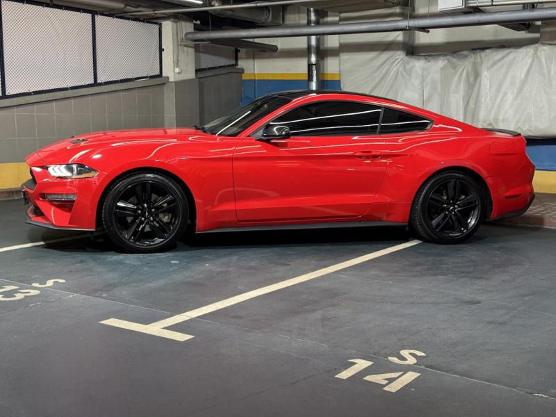 Купить Ford Mustang бензин 2019 id-1007353 в Киеве, Фото №[delta]