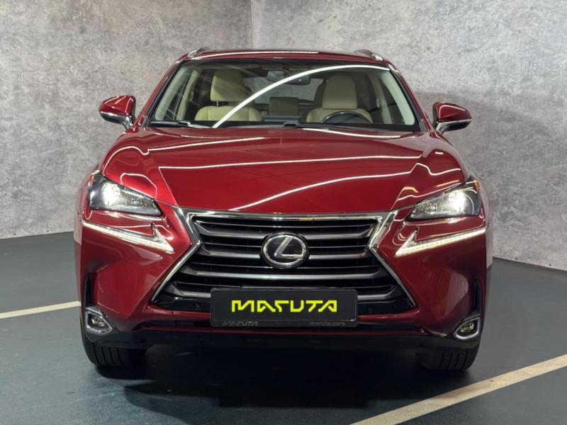 Купить Lexus NX 200t бензин 2015 id-1007545 в Киеве, Фото №[delta]