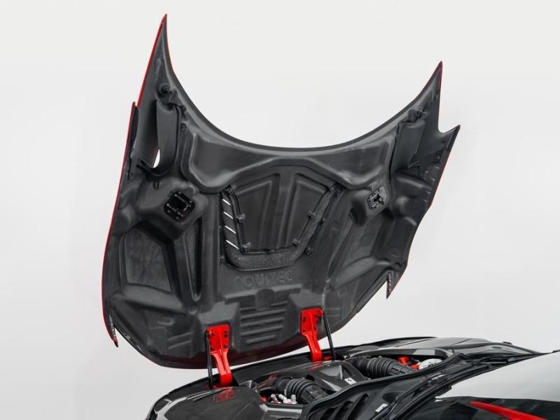 Купить Ferrari Purosangue by Novitec бензин 2025 id-1007869 в Киеве, Фото №[delta]