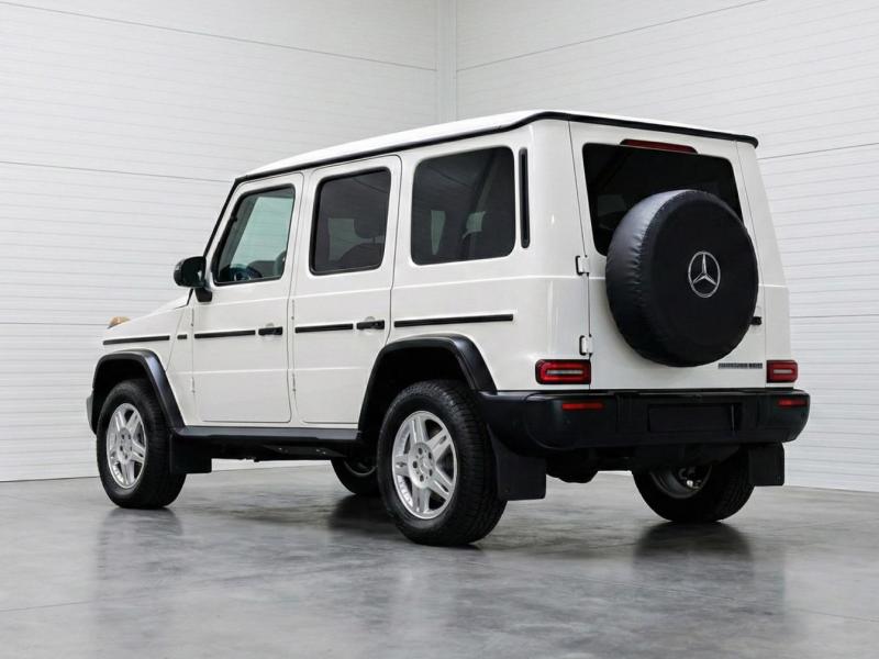 Купить Mercedes-Benz G 450d Professional 1 of 460 stronger than 1980s дизель 2025 id-1008041 в Киеве, Фото №[delta]