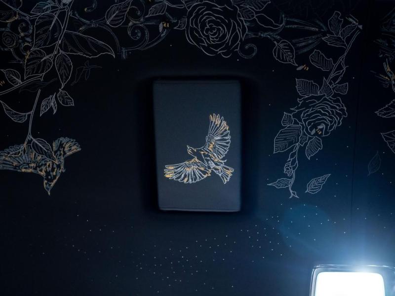 Купить Rolls-Royce Phantom Centenary 100th Edition бензин 2026 id-1008402 в Киеве, Фото №[delta]